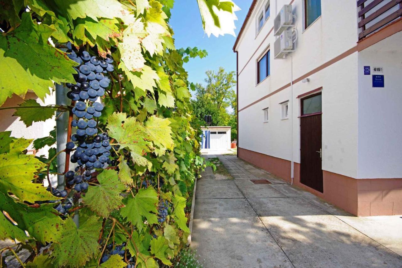Apartments In Sabunike/Zadar Riviera 7812 닌 외부 사진
